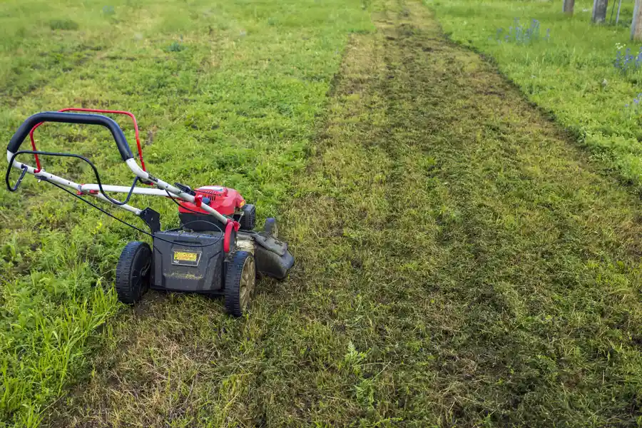Lawn Care